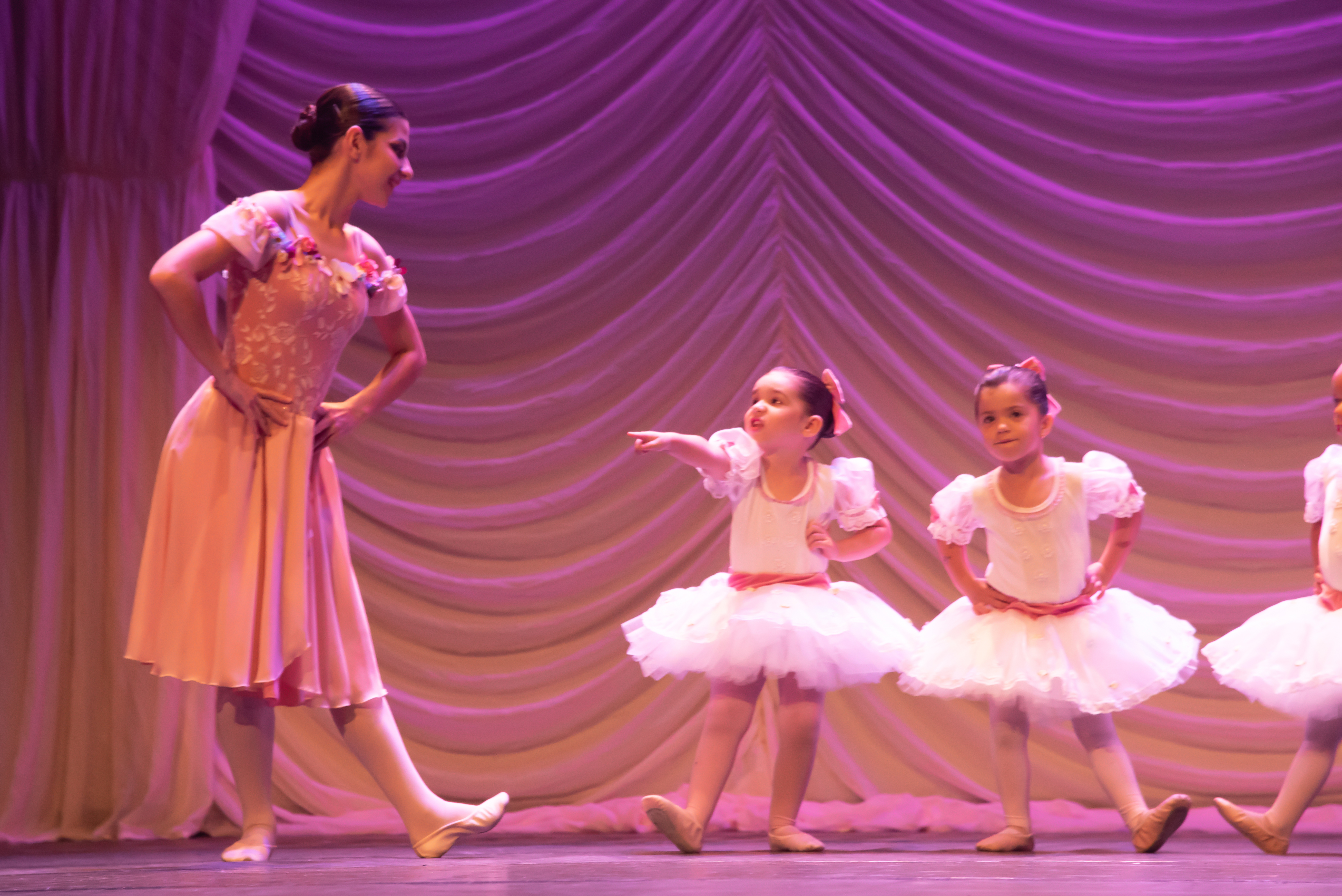 Isadora Fernandes Artistry